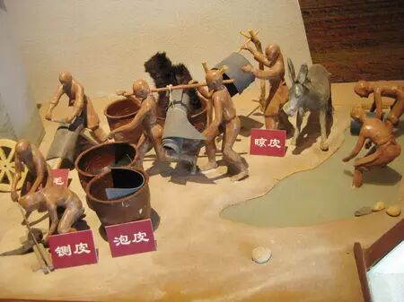 "补血圣药"—阿胶