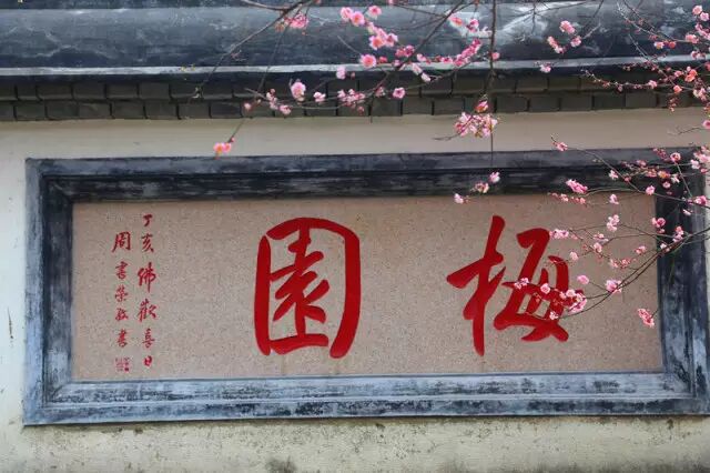 点击查看大图