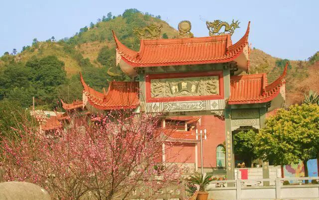 点击查看大图