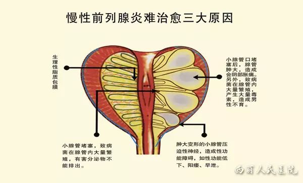 文章内容图片28.jpg