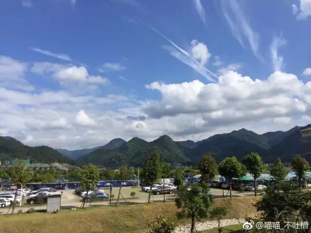 点击查看大图