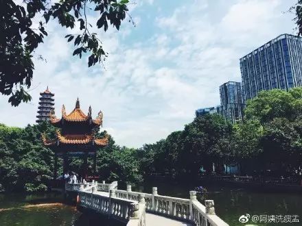 点击查看大图