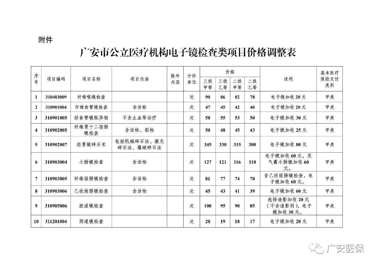 关于临时调整公立医疗机构部分电子镜检查项目价格的通知