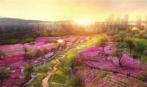 点击查看大图