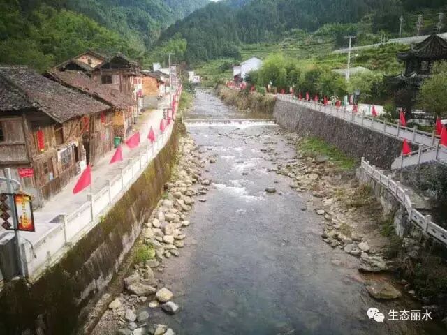 景宁实行三禁制度加强生态环境保护