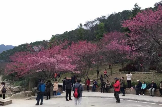 点击查看大图