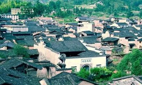 点击查看大图