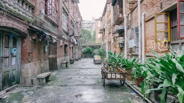 点击查看大图