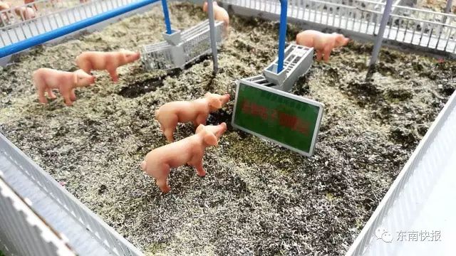 点击查看大图
