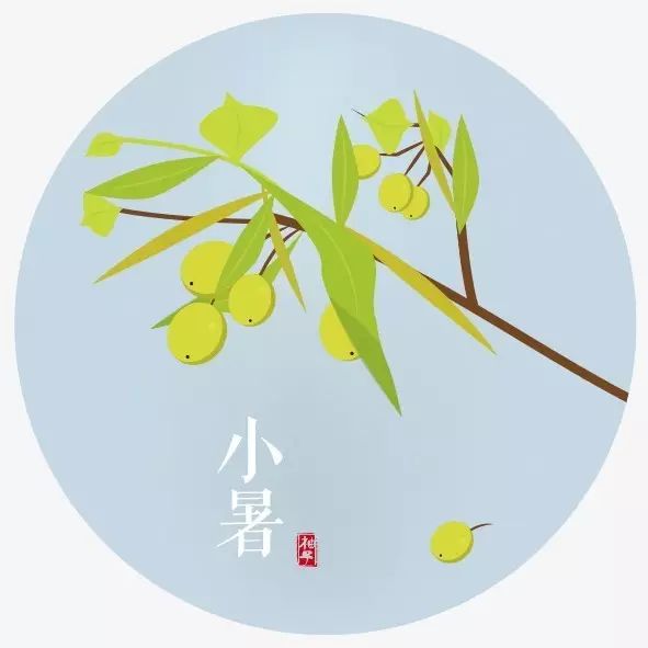 小暑喝茶