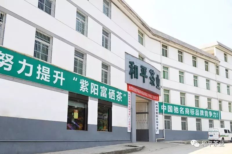 龙头企业和平茶业