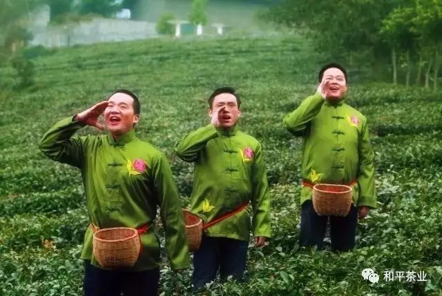 紫阳富硒茶产业