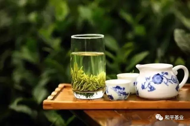 正宗紫阳富硒茶