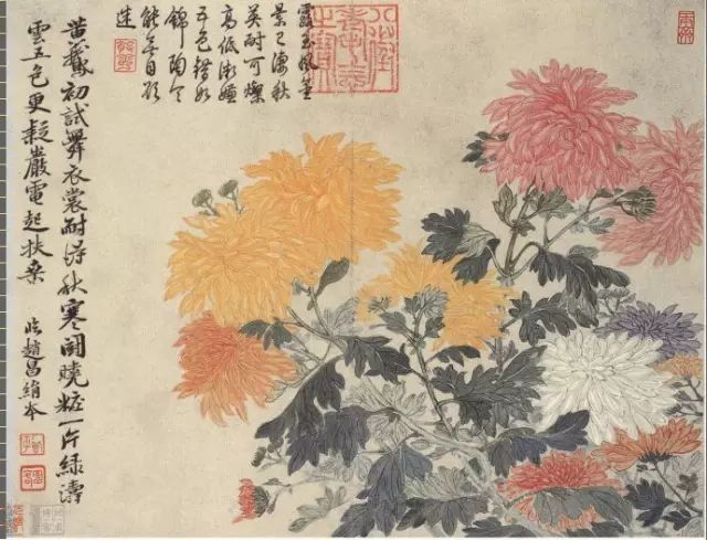 清朝代【邹一桂】《菊花轴》台北故宫博物院TIF高清大图中国画古