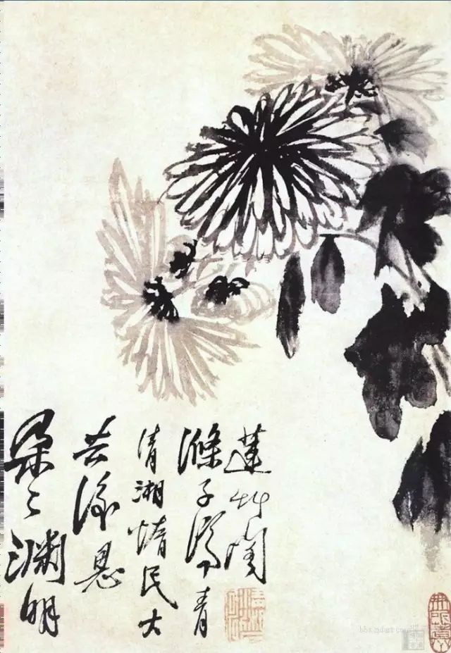 历代菊花图（1）