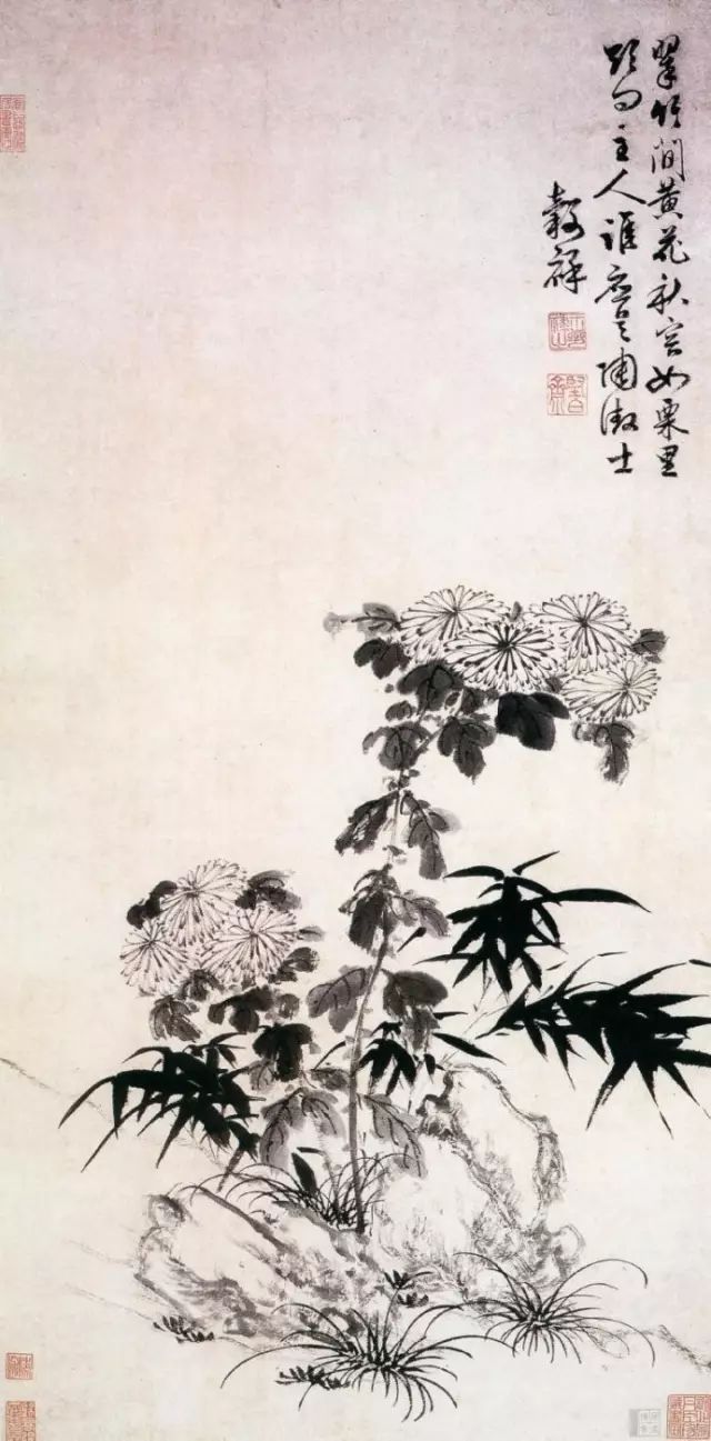 历代菊花图（1）