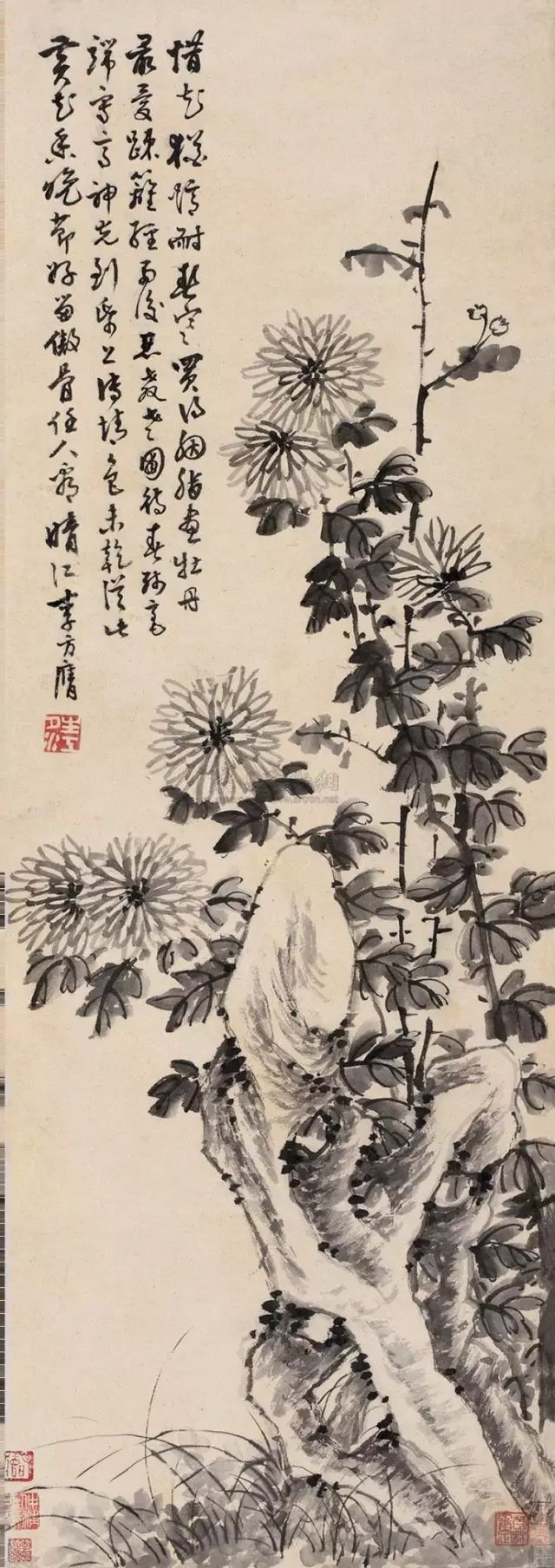 历代菊花图（1）