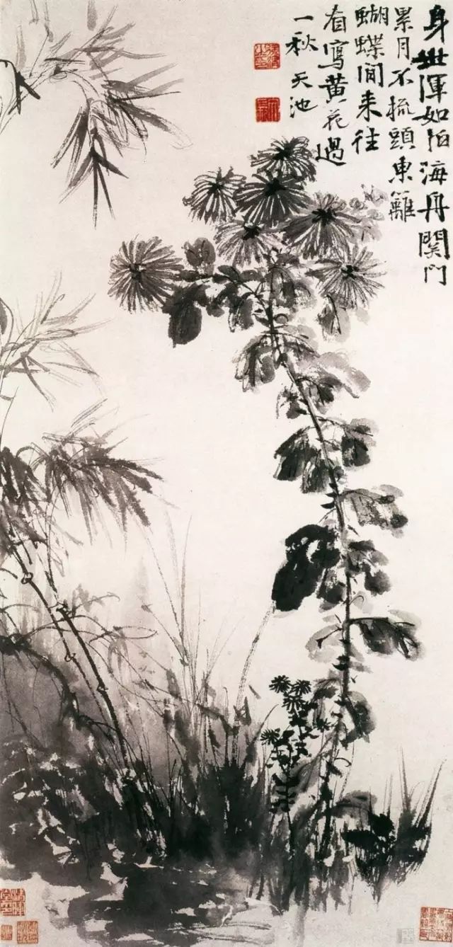 历代菊花图（1） - 中国书画网