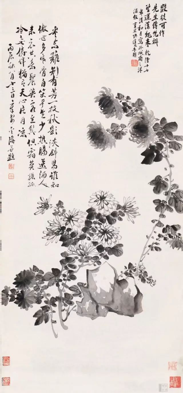 历代菊花图（2）