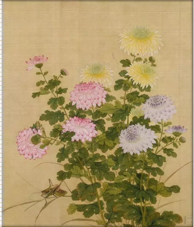 历代菊花图（2）