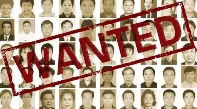 假结婚，假孩子，假材料，假老公还是个红通犯，这位中国大妈的移民套路可以拍大片了... - 5