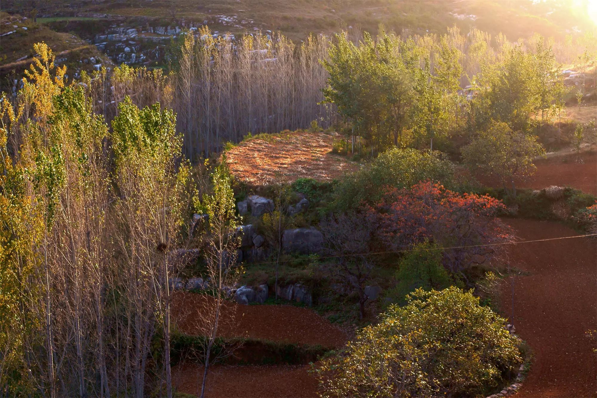 八百里伏牛山 鸠山红叶醉秋光