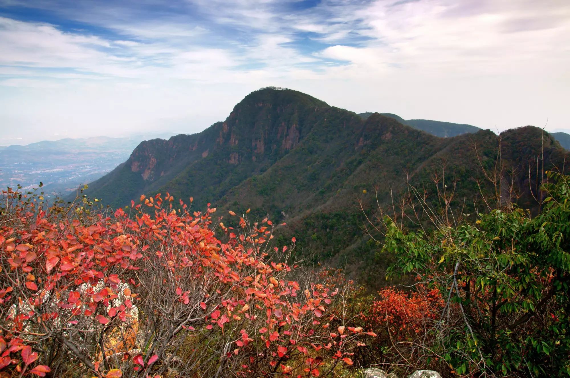 八百里伏牛山 鸠山红叶醉秋光
