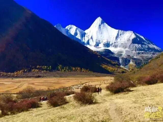 稻城亚丁实拍,美得像一幅油画!真正达到颜值巅
