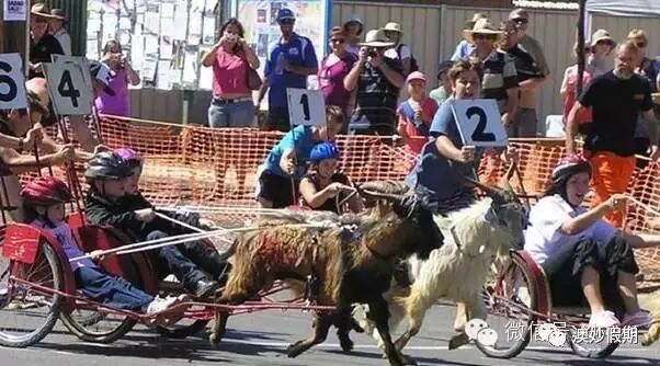 新州古怪奇特又有趣的19个小镇，华人都不知道的好地方！