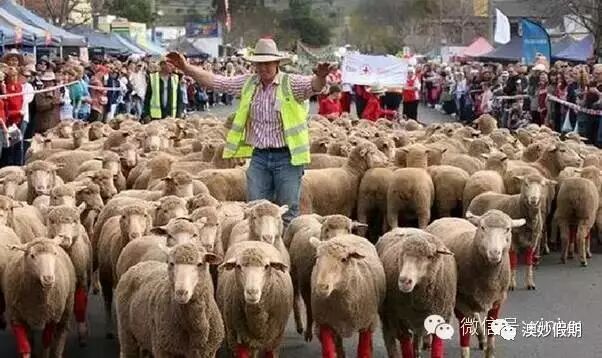 新州古怪奇特又有趣的19个小镇，华人都不知道的好地方！