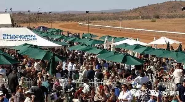 新州古怪奇特又有趣的19个小镇，华人都不知道的好地方！