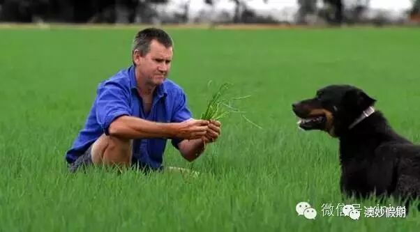 新州古怪奇特又有趣的19个小镇，华人都不知道的好地方！