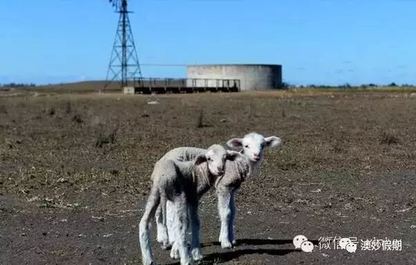 新州古怪奇特又有趣的19个小镇，华人都不知道的好地方！