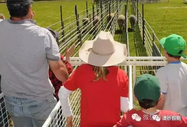 新州古怪奇特又有趣的19个小镇，华人都不知道的好地方！