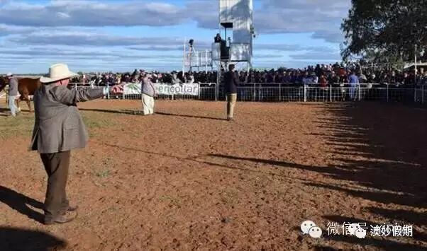 新州古怪奇特又有趣的19个小镇，华人都不知道的好地方！