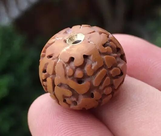 无齿金刚不值钱？来看看这些极品无齿，500万一串亮瞎眼！