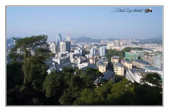 点击查看大图