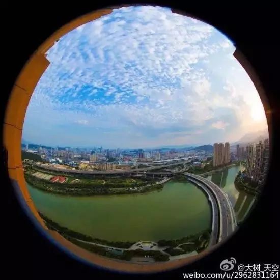 点击查看大图