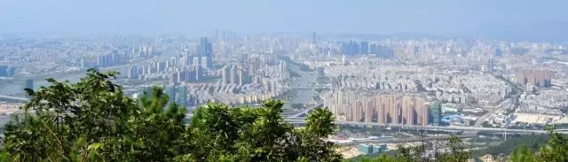 点击查看大图