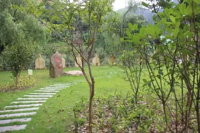点击查看大图