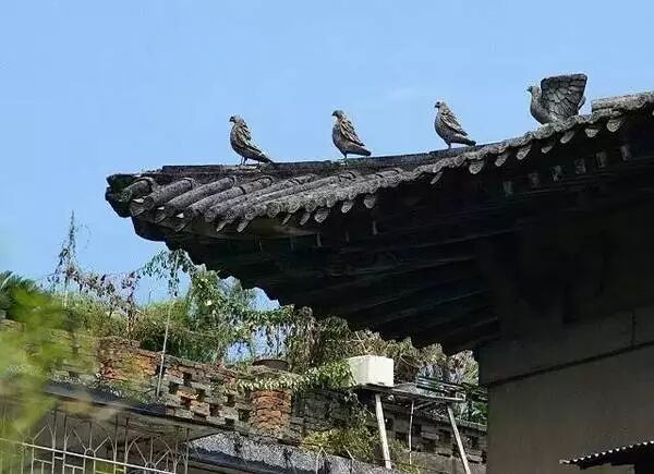 点击查看大图
