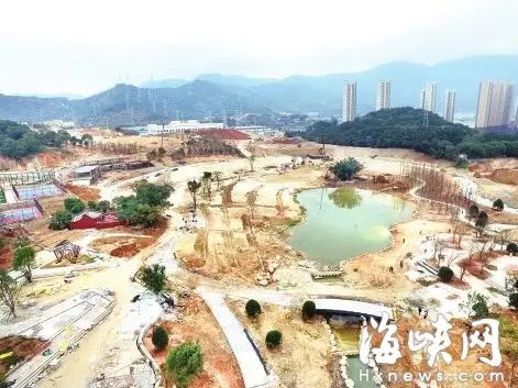 点击查看大图