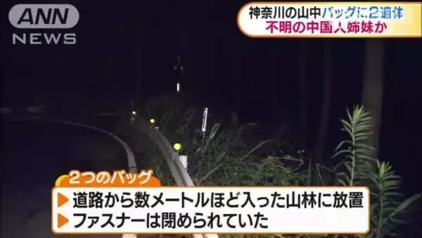 中国留学生姐妹花离奇裸死行李箱中，死状扭曲凄惨！姐姐生前曾被日本男子追求纠缠！案情全面揭秘，细节骇人！人在海外，请远离洋渣男！ - 13