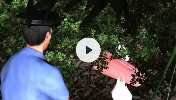 中国留学生姐妹花离奇裸死行李箱中，死状扭曲凄惨！姐姐生前曾被日本男子追求纠缠！案情全面揭秘，细节骇人！人在海外，请远离洋渣男！ - 14