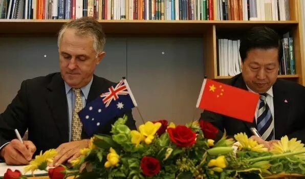 厉害了！墨尔本CBD已成全澳最大中国城！四成居民自认华人！四分之一居民出生在大陆！ - 23