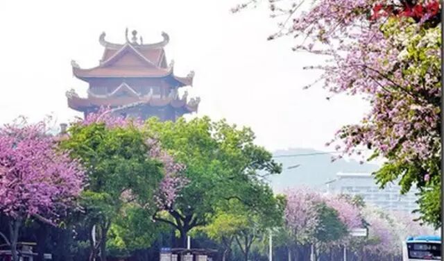点击查看大图