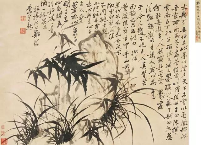郑板桥画兰，画的是兰花的骨头！