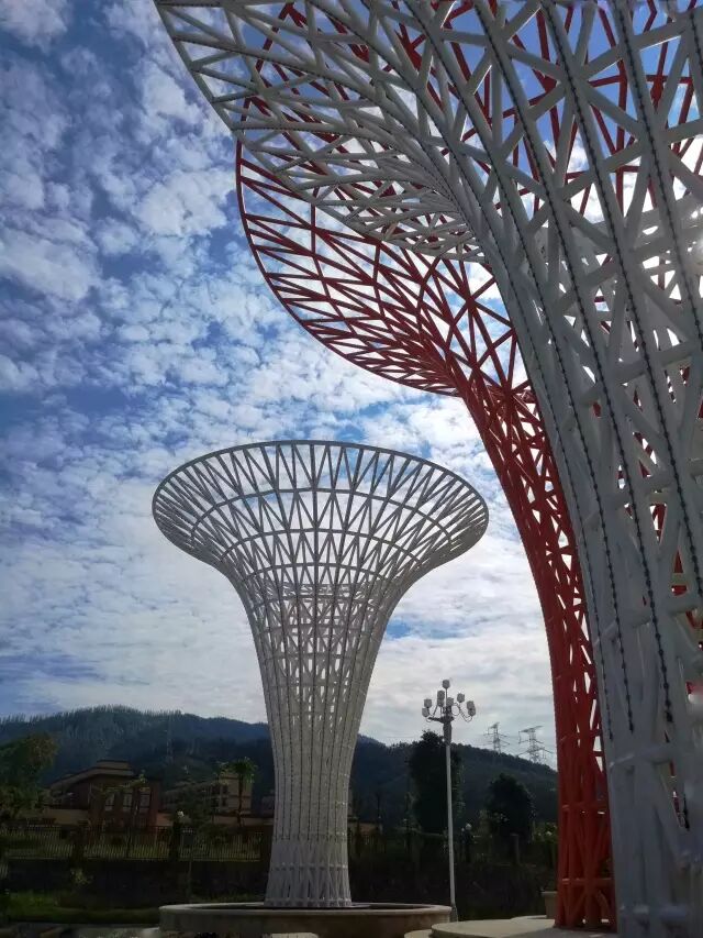 点击查看大图