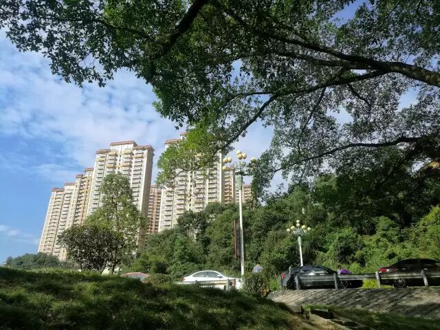 点击查看大图