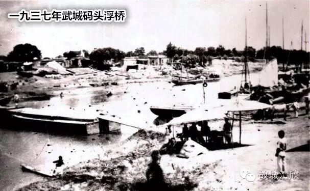 故城清欣-武城大桥(老桥)